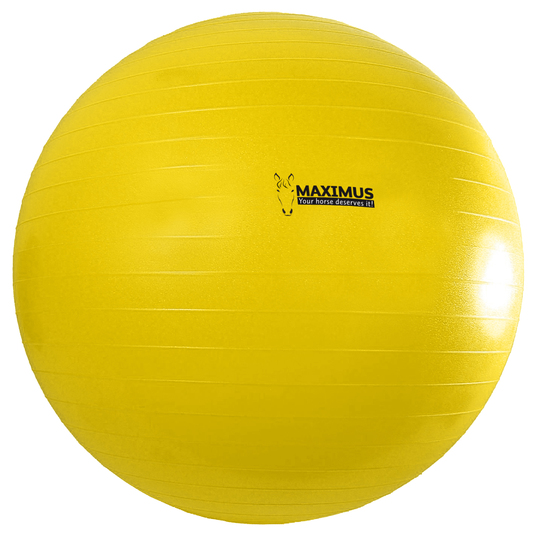 Maximus Power Play Ball 65 cm