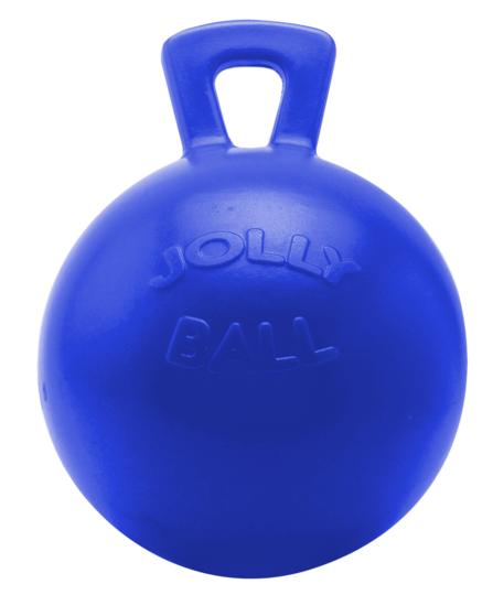 Jolly Ball 25cm Dunkelblau "Geruchlos"