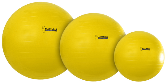 Maximus Power Play Ball 65 cm